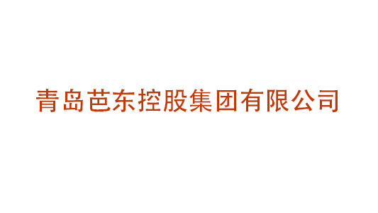 青岛芭东投资控股集团公司星空网·官方端网站建设项目