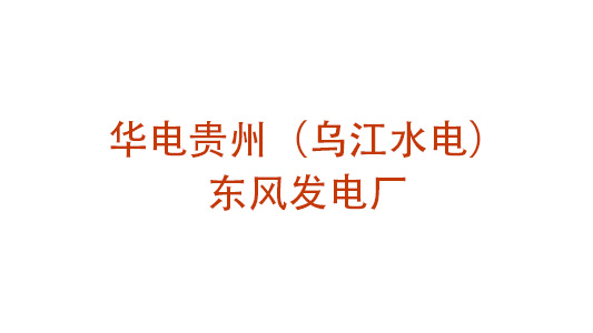 华电贵州（乌江水电）东风发电厂星空网·官方端网站提升管理咨询